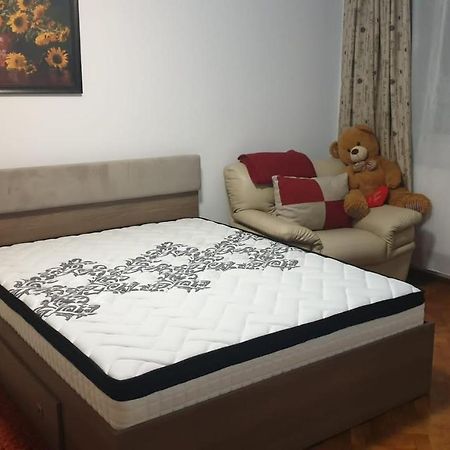 Apartamentdecebal Διαμέρισμα Κονστάντζα Εξωτερικό φωτογραφία